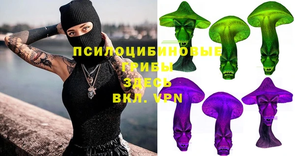 гашик Алексеевка