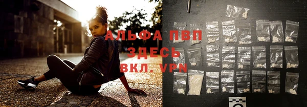 гидра Алексин